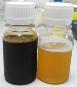 Rasa asli pekat Julice dari Luo Han Guo Mongroside V 3.5%
