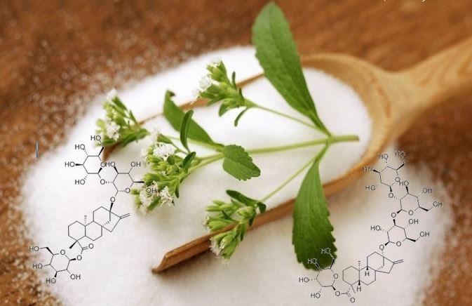 Ekstrak Stevia Pemanis Bebas Gula